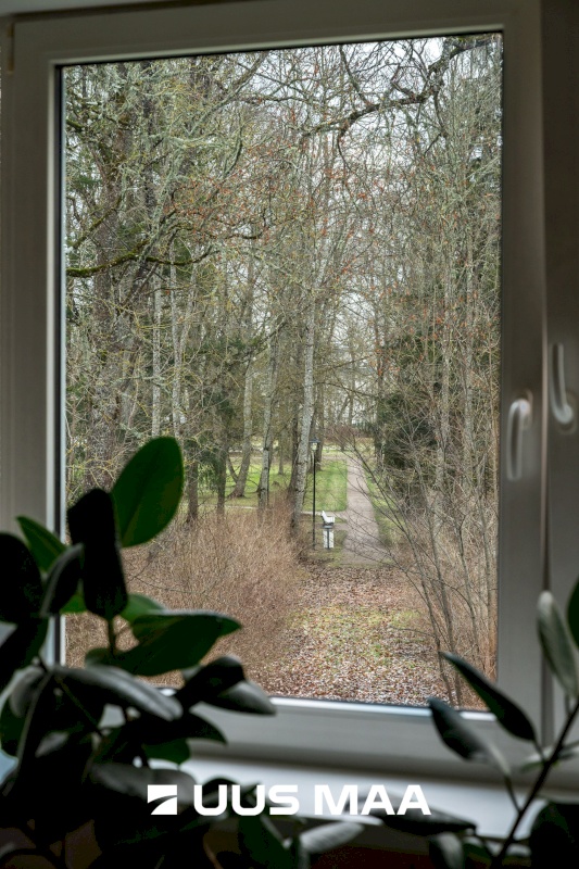 Saku vald, Saku alevik, Pargi 29