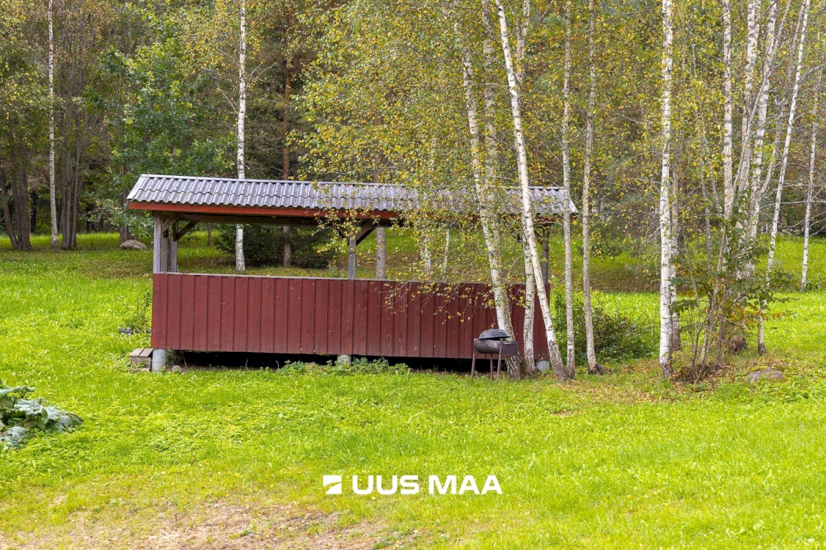 Põlva vald, Kauksi küla, Haavamäe