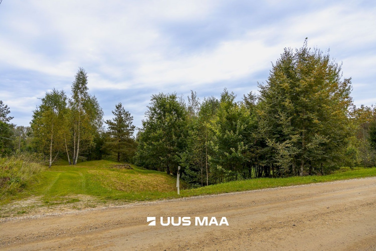 Põlva vald, Kauksi küla, Haavamäe