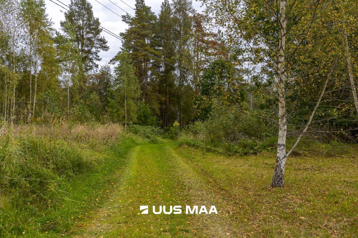 Põlva vald, Kauksi küla, Haavamäe