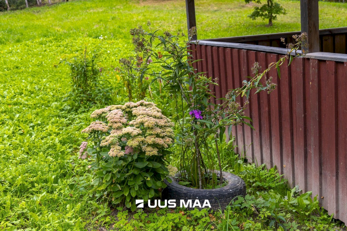 Põlva vald, Kauksi küla, Haavamäe