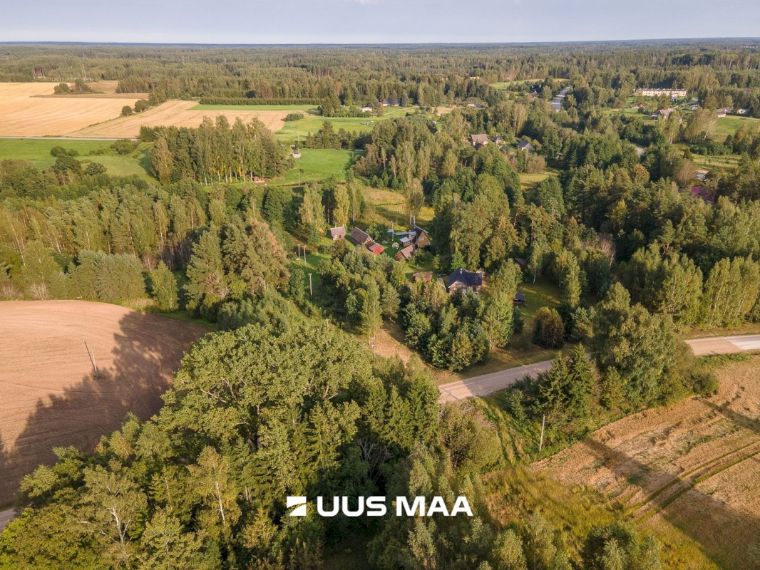 Põlva vald, Kauksi küla, Haavamäe