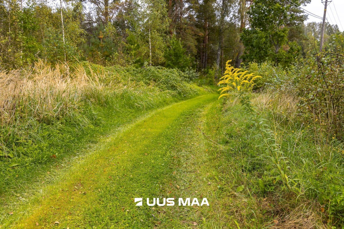 Põlva vald, Kauksi küla, Haavamäe