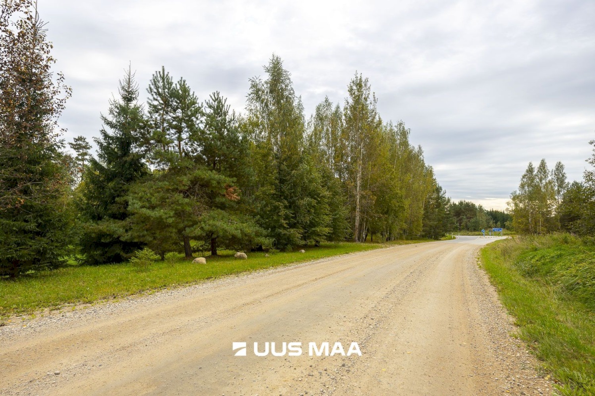 Põlva vald, Kauksi küla, Haavamäe