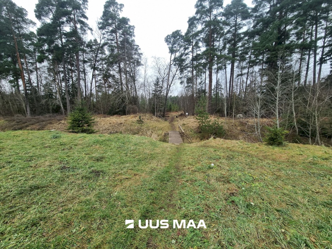 Viru-Nigula vald, Kunda linn, Koidu 85