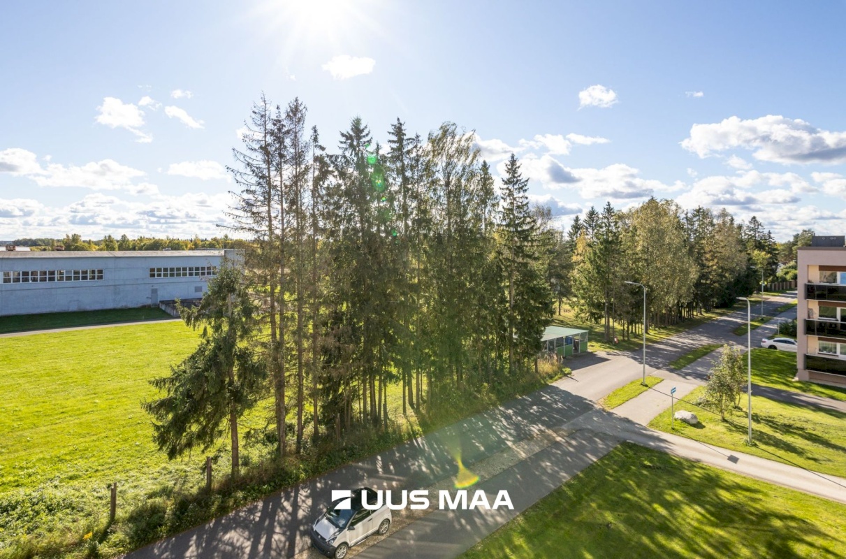 Rae vald, Vaida alevik, Rukkilille 15