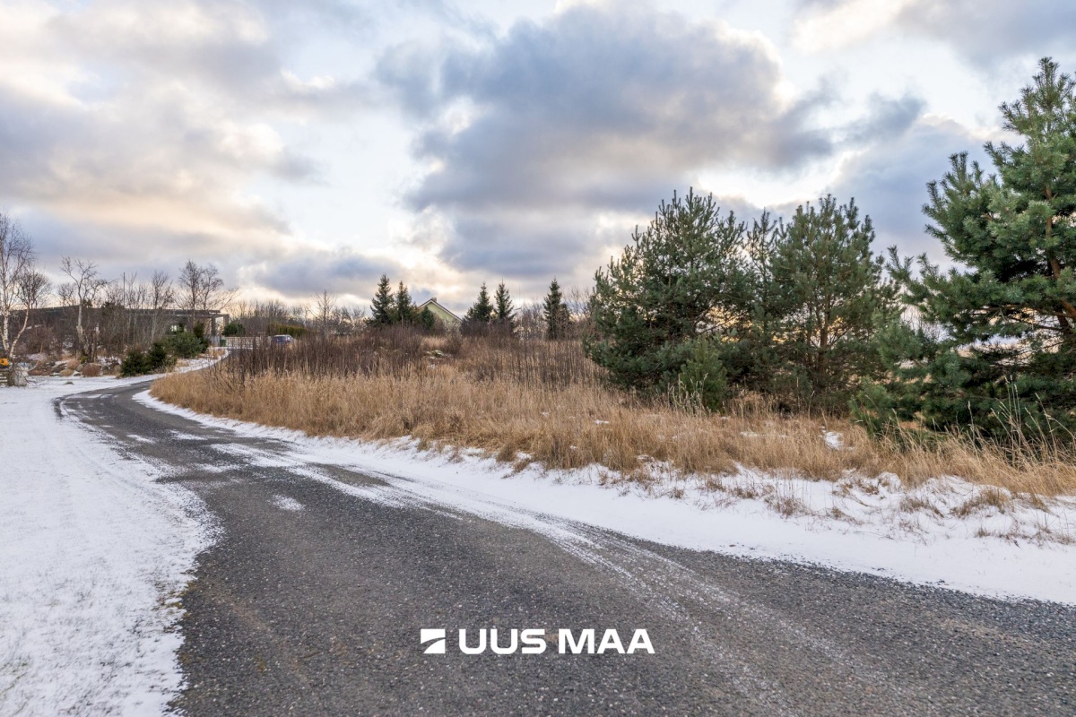 Lääne-Harju vald, Lohusalu küla