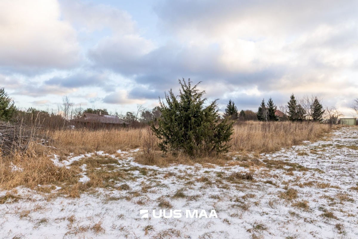 Lääne-Harju vald, Lohusalu küla