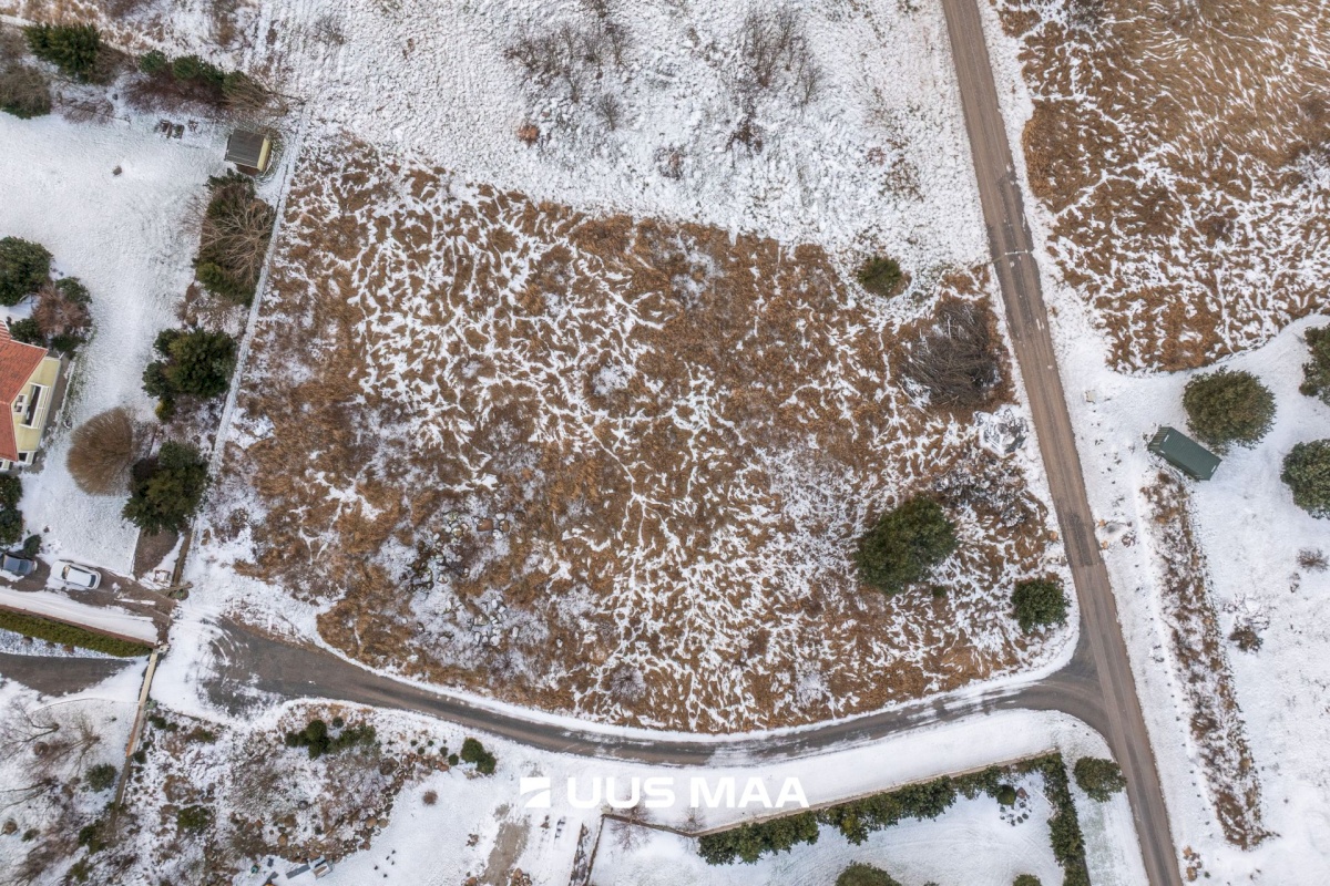 Lääne-Harju vald, Lohusalu küla