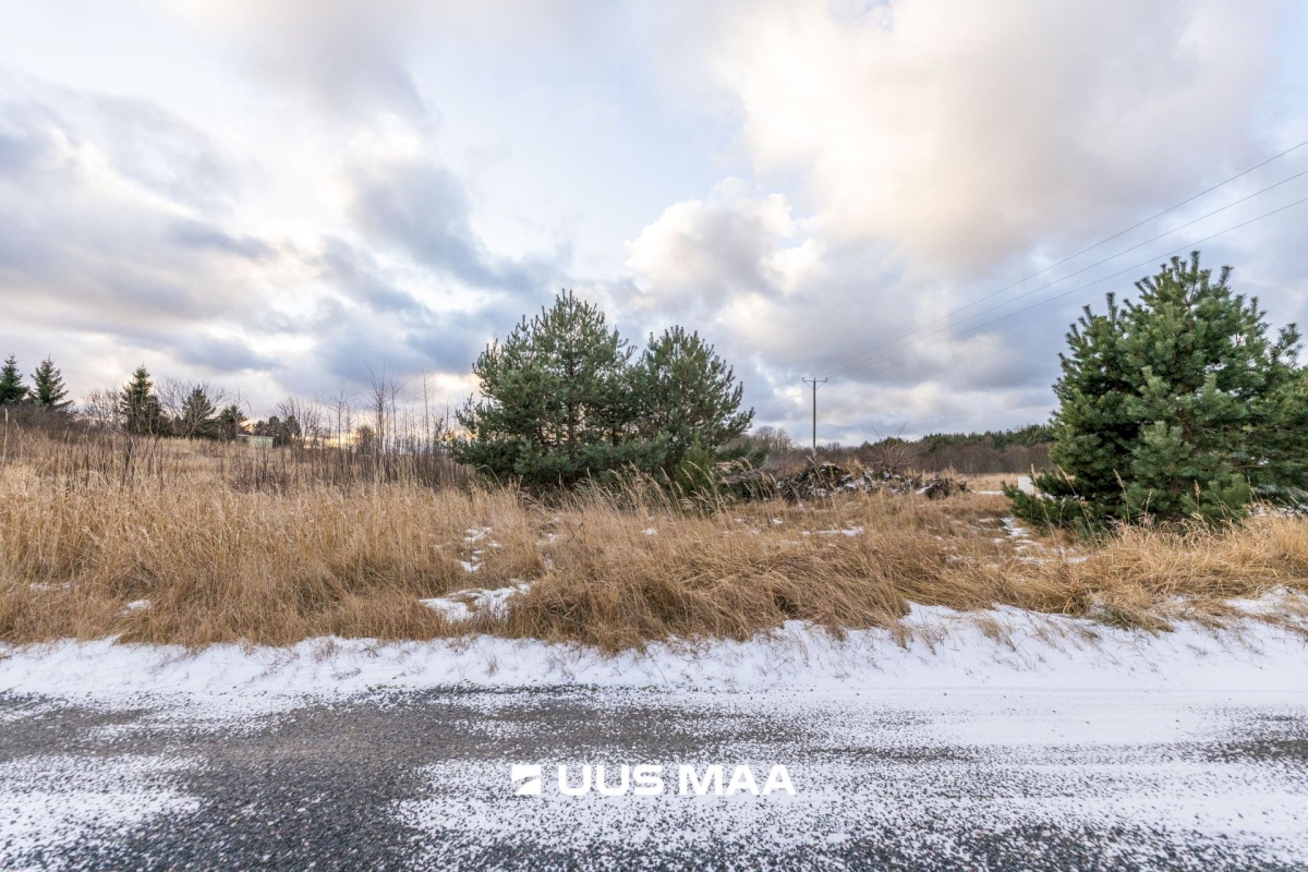 Lääne-Harju vald, Lohusalu küla