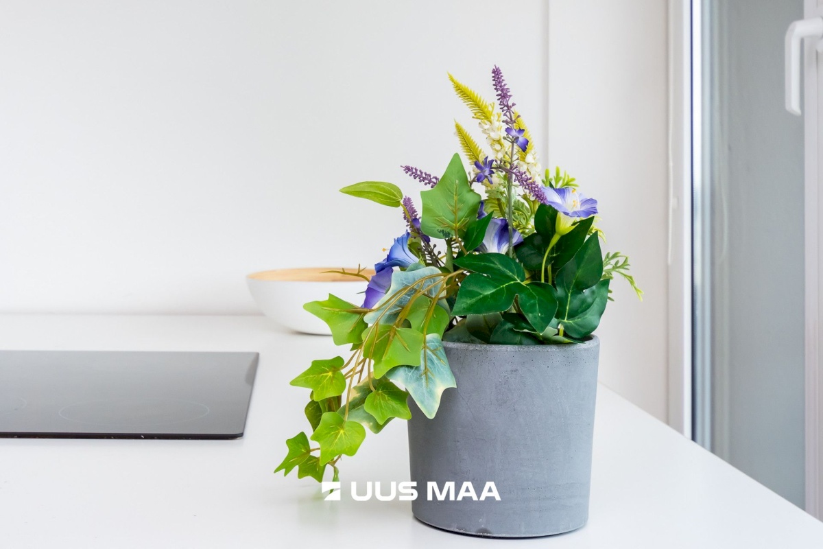 Tallinn, Kesklinna linnaosa, Asula 1b