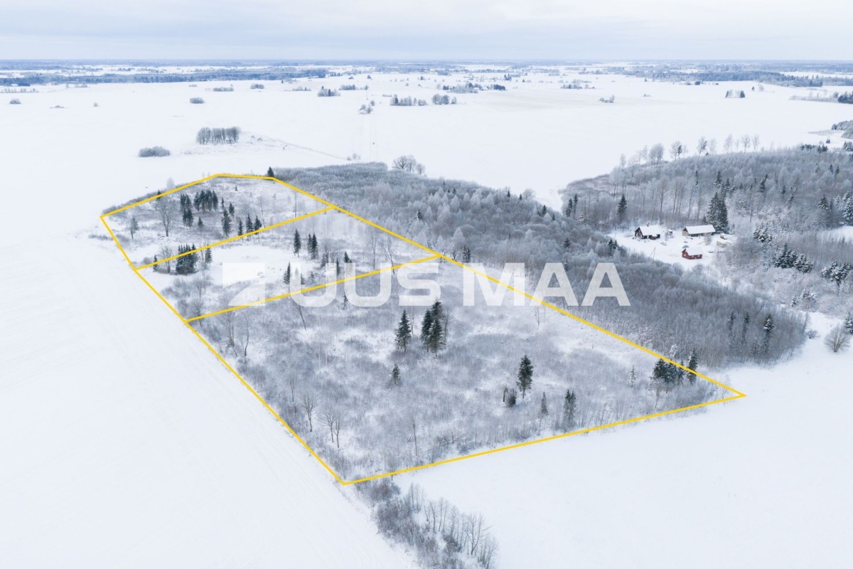 Järva vald, Ervita küla