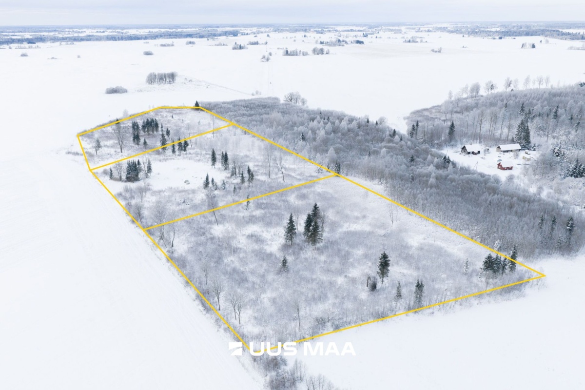 Järva vald, Ervita küla