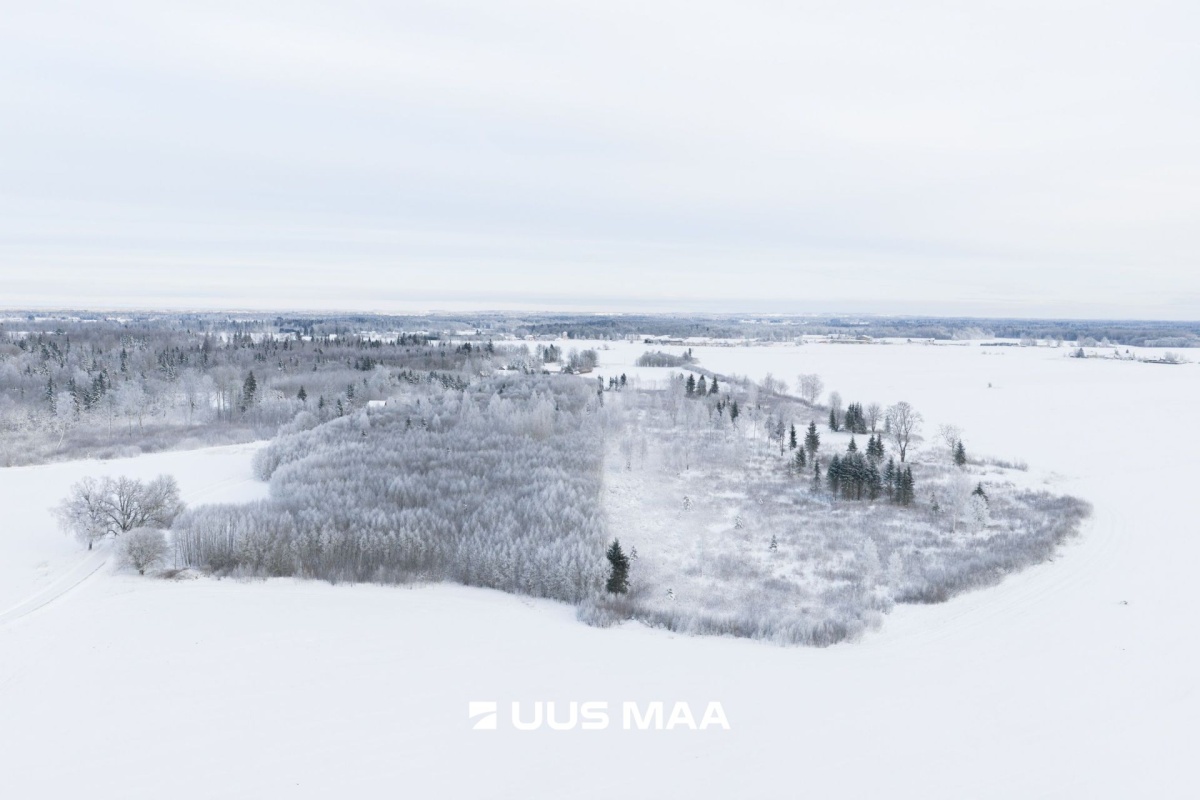 Järva vald, Ervita küla