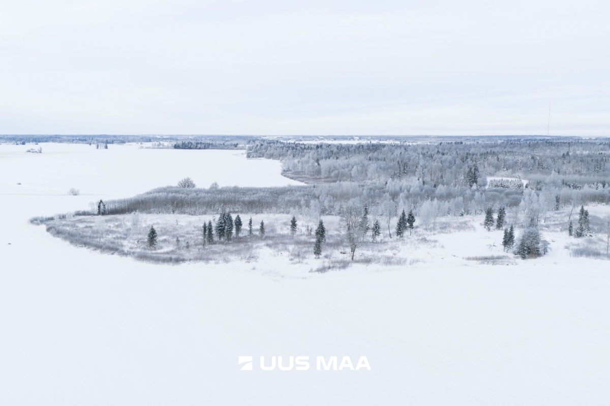 Järva vald, Ervita küla