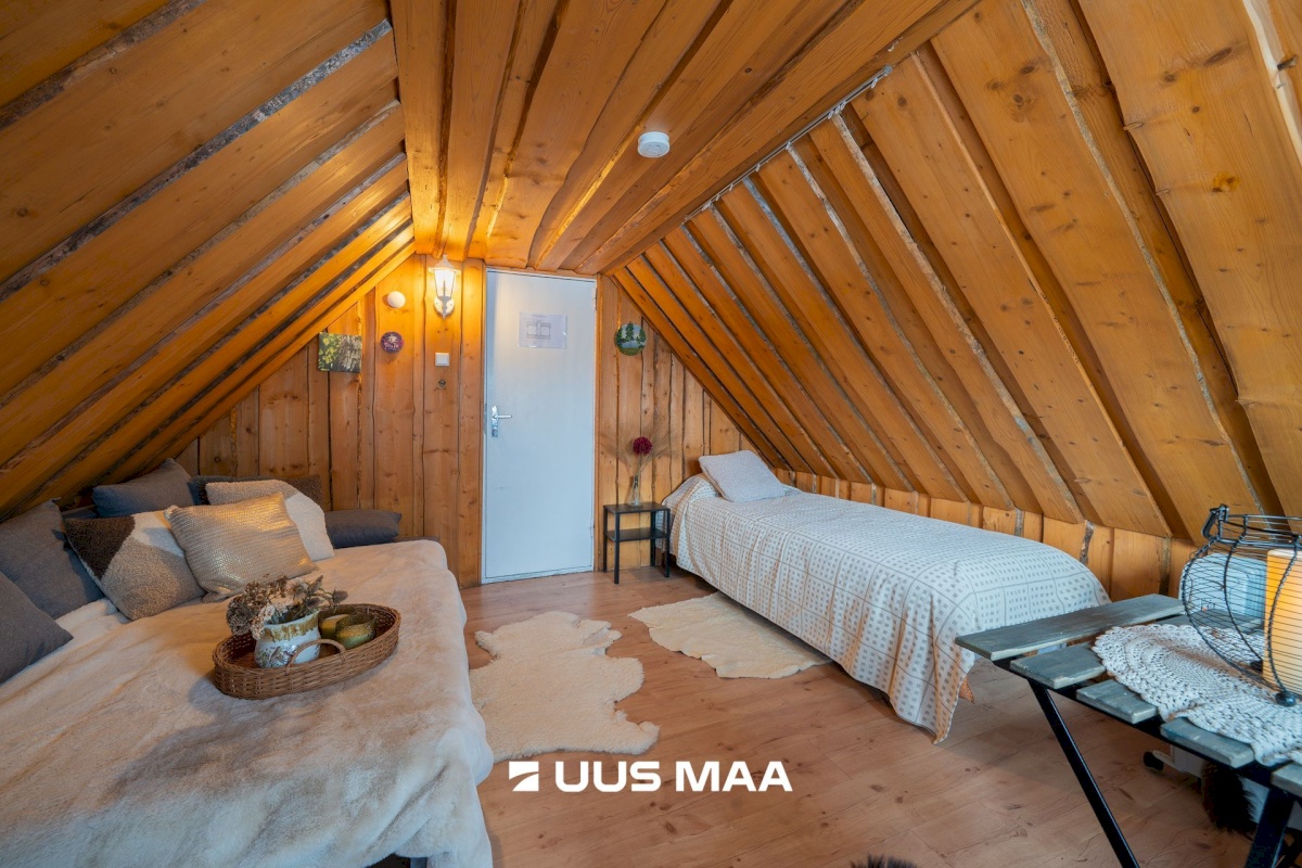 Otepää vald, Arula küla