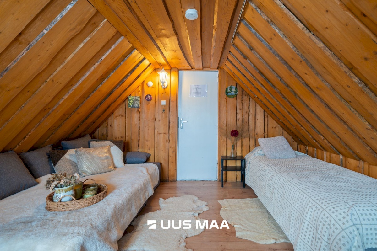 Otepää vald, Arula küla