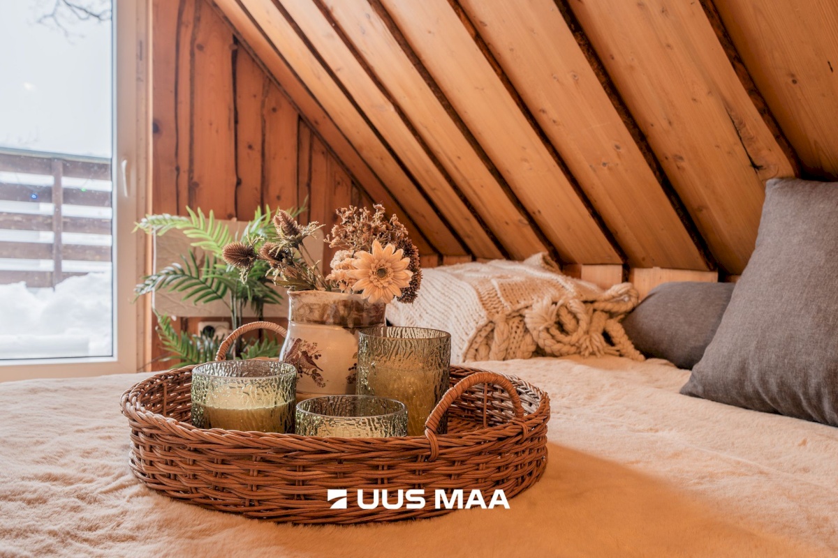 Otepää vald, Arula küla