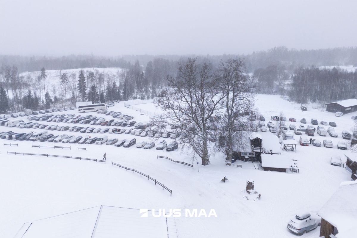 Otepää vald, Arula küla