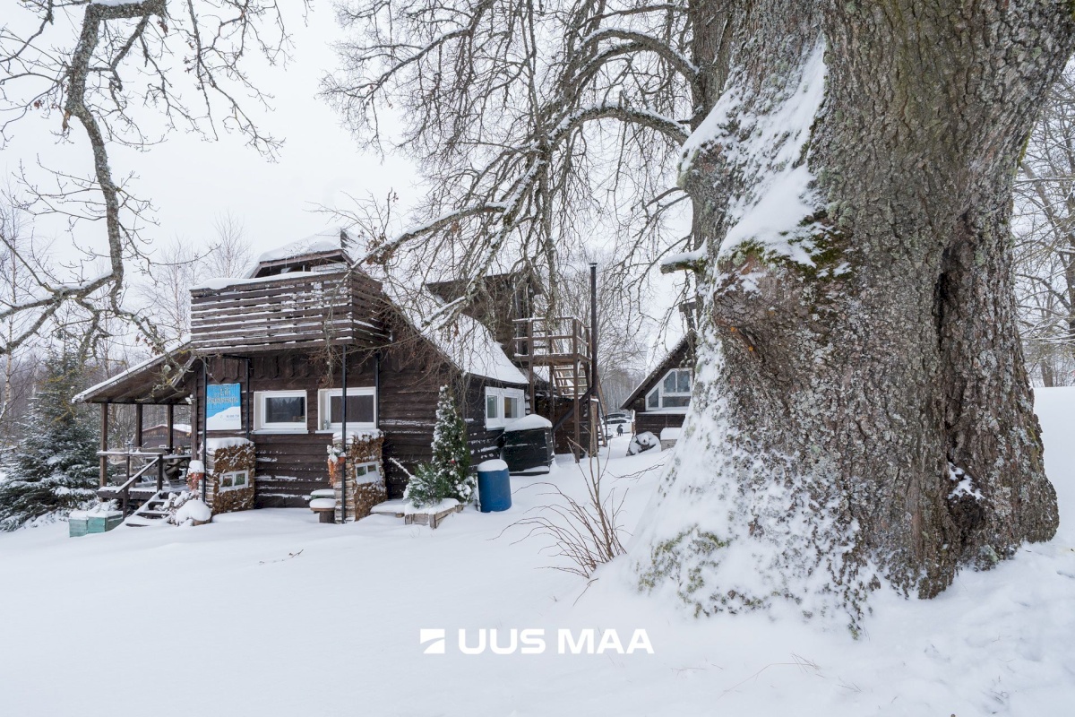 Otepää vald, Arula küla