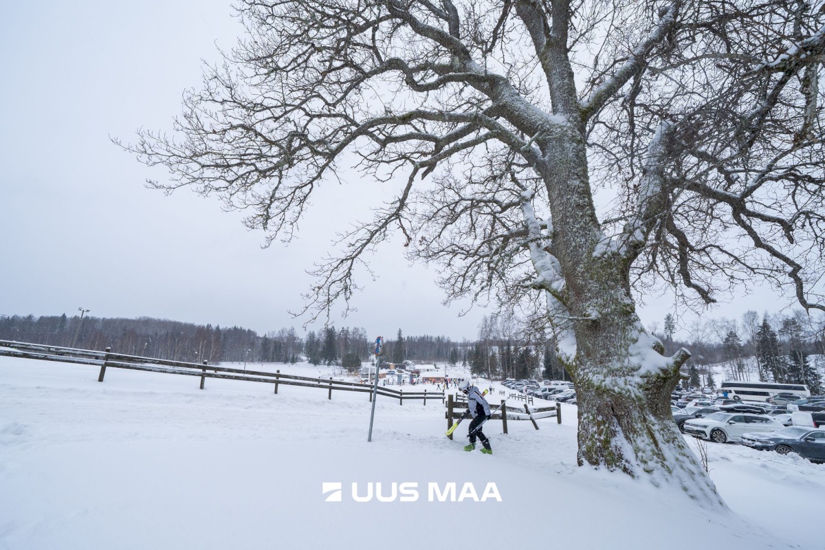 Otepää vald, Arula küla