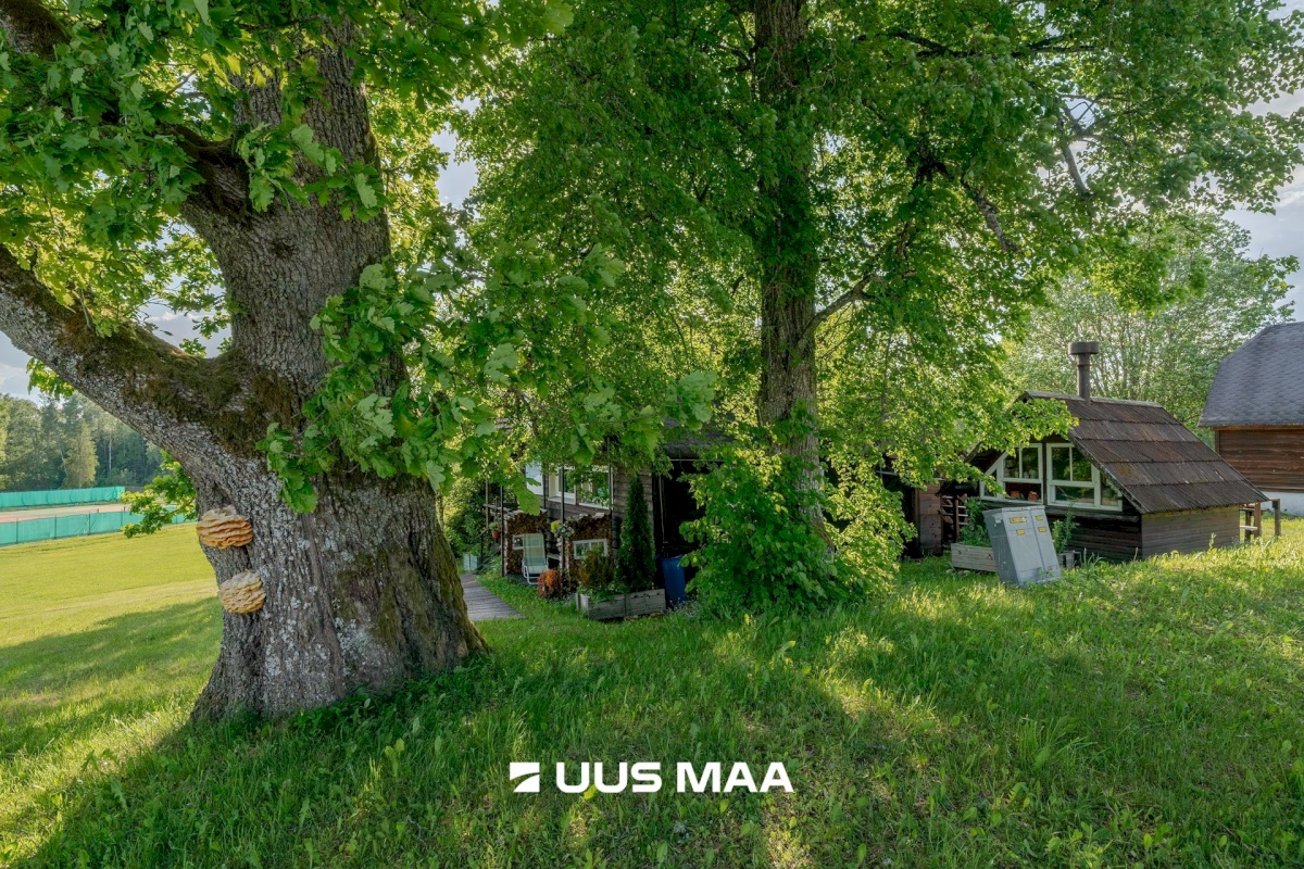 Otepää vald, Arula küla