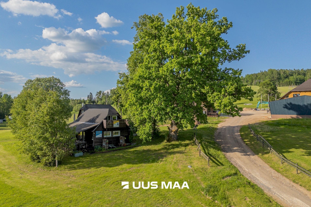 Otepää vald, Arula küla
