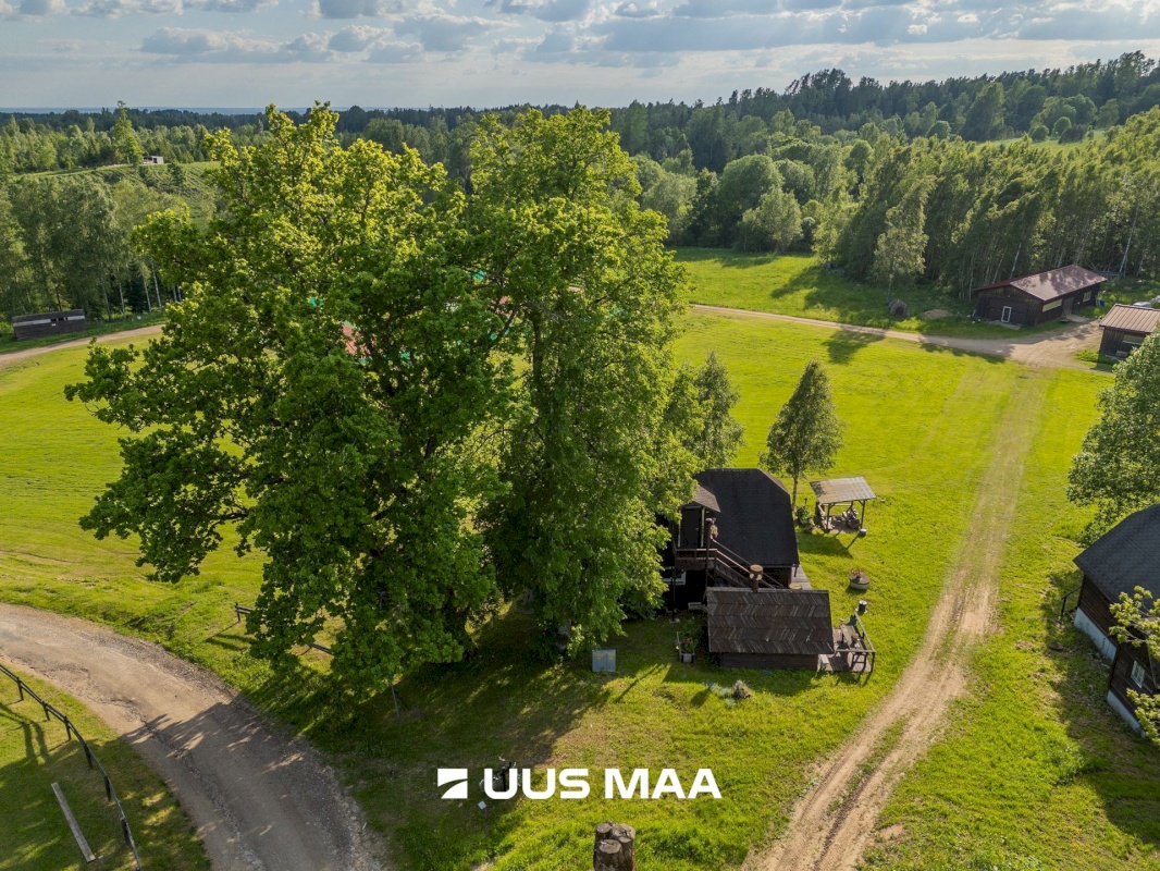 Otepää vald, Arula küla