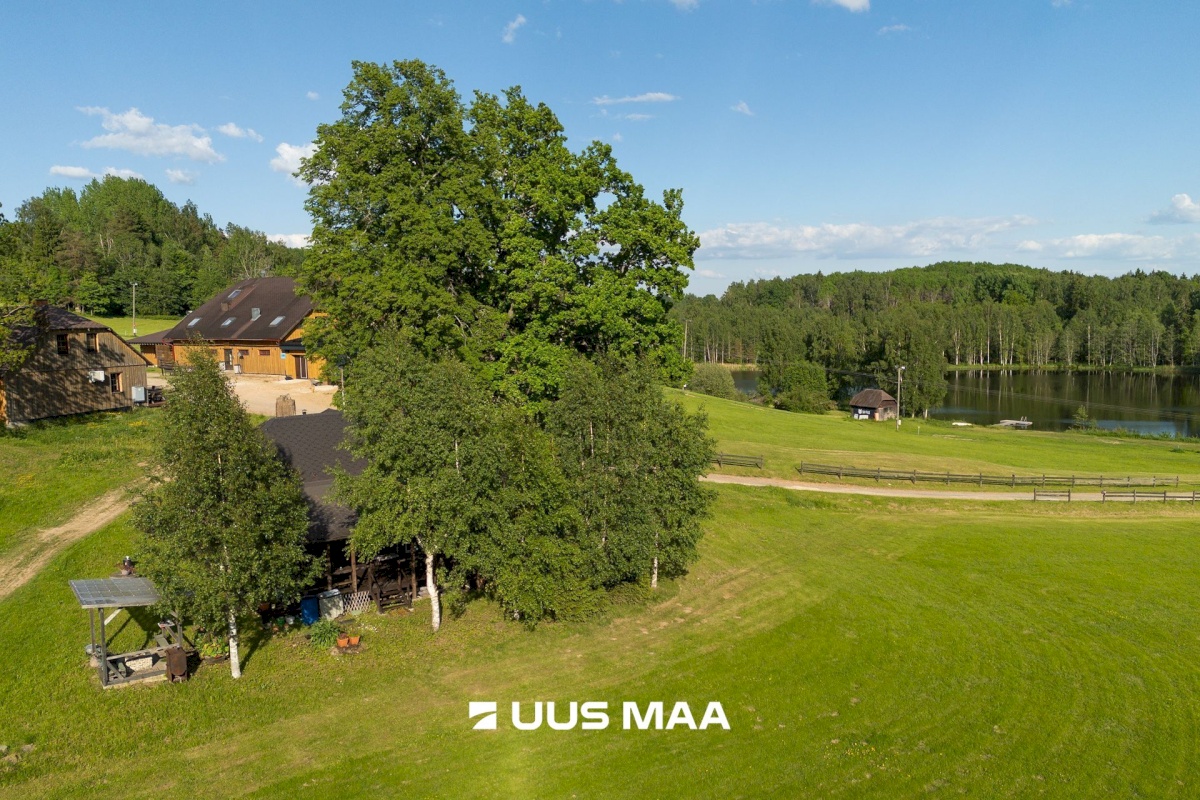 Otepää vald, Arula küla