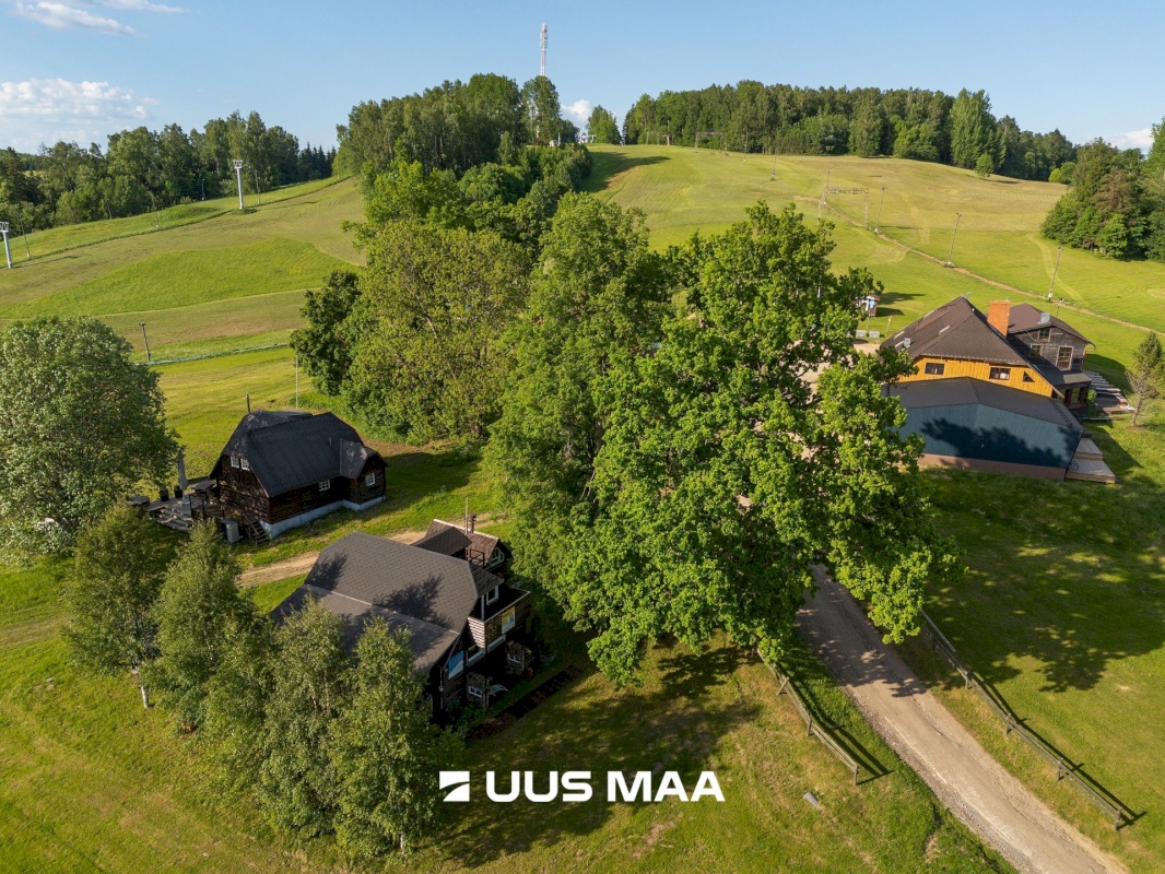 Otepää vald, Arula küla