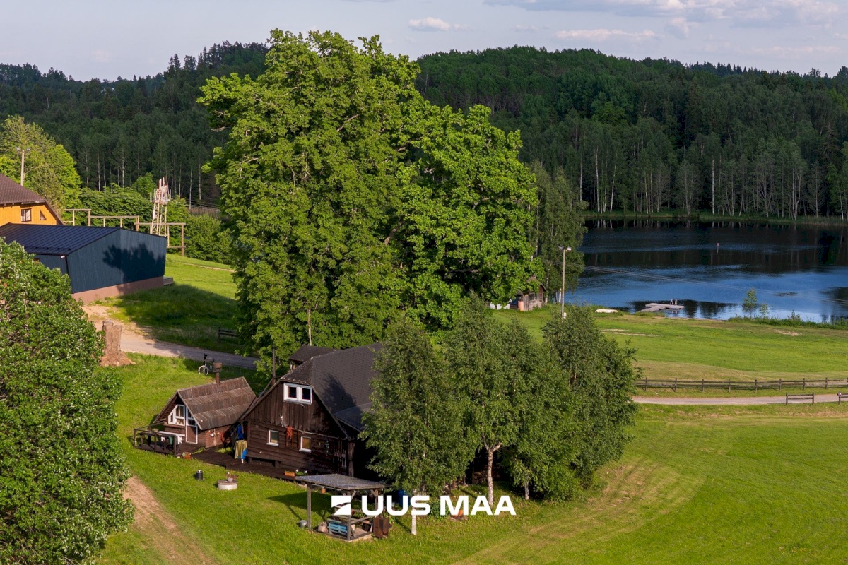 Otepää vald, Arula küla
