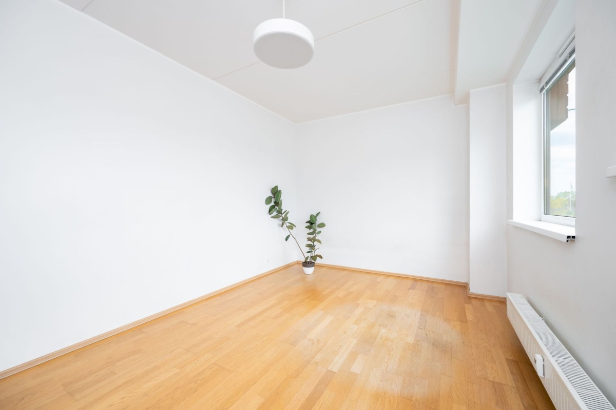 Viimsi vald, Haabneeme alevik, Tammepõllu tee 1