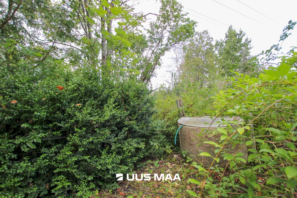 Tori vald, Tabria küla, Kogeri