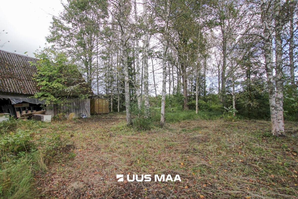 Tori vald, Tabria küla, Kogeri