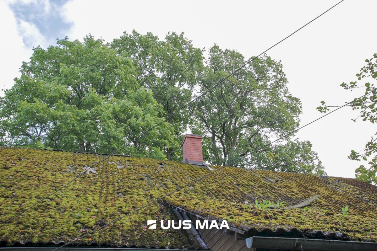 Tori vald, Tabria küla, Kogeri