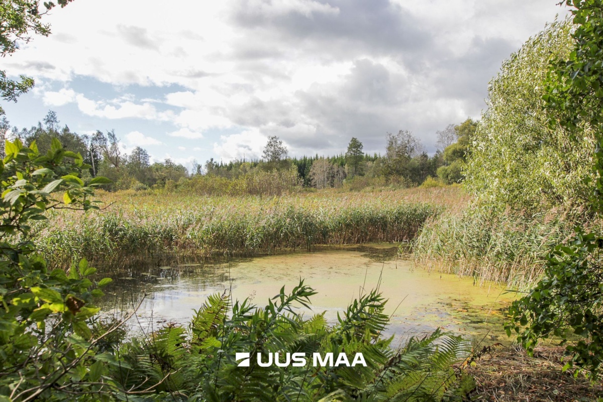 Tori vald, Tabria küla, Kogeri