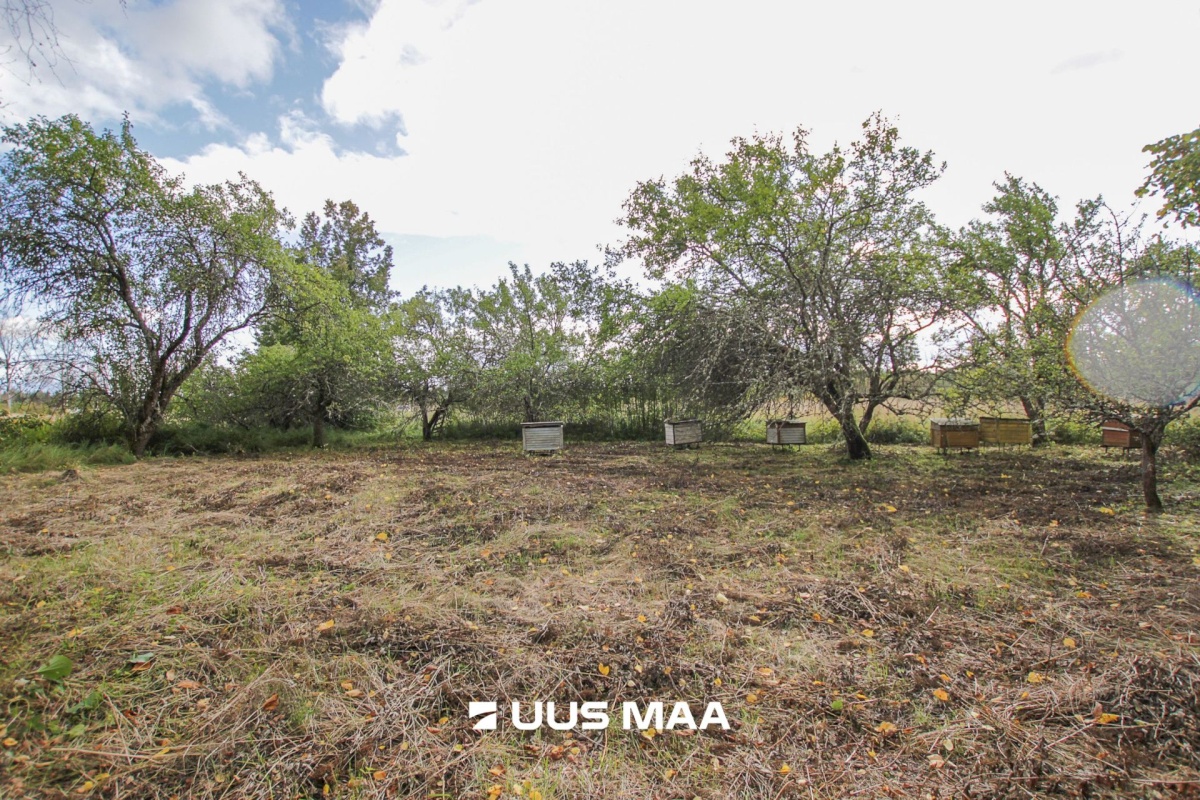 Tori vald, Tabria küla, Kogeri