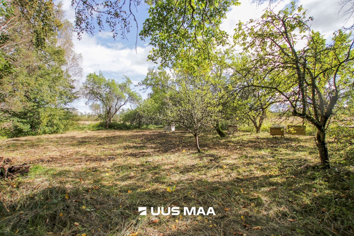 Tori vald, Tabria küla, Kogeri