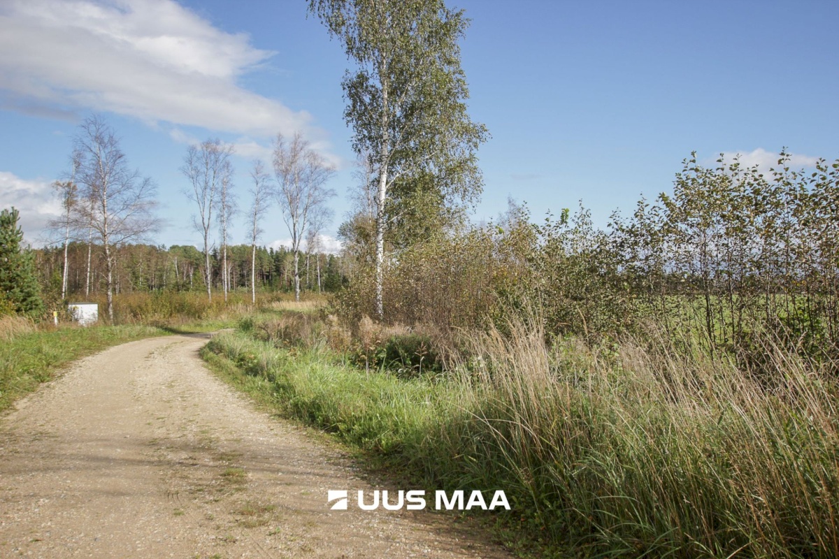 Tori vald, Tabria küla, Kogeri