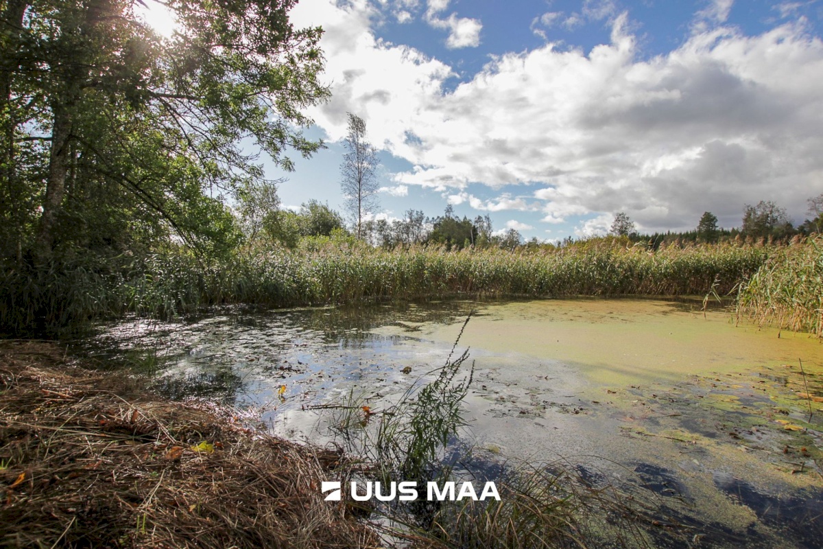 Tori vald, Tabria küla, Kogeri