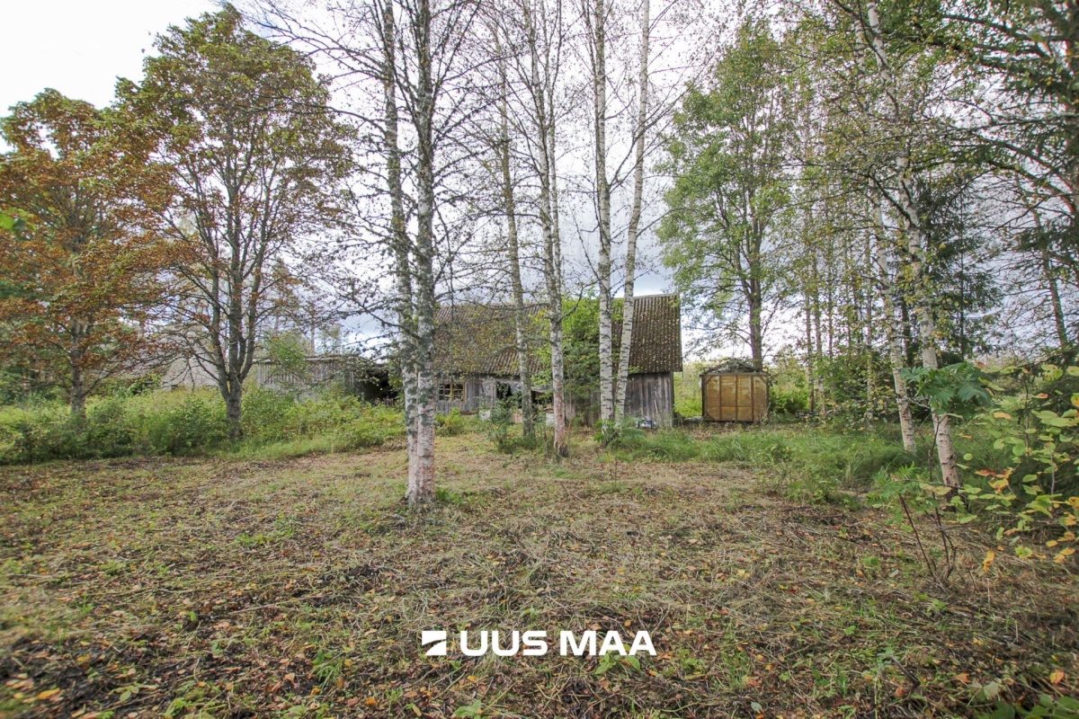 Tori vald, Tabria küla, Kogeri