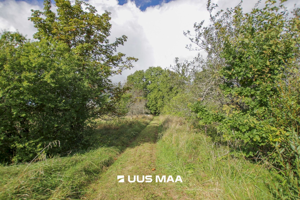 Tori vald, Tabria küla, Kogeri