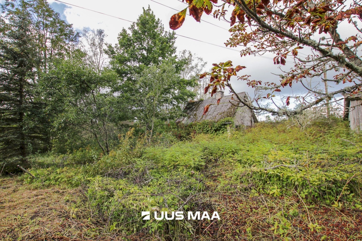 Tori vald, Tabria küla, Kogeri