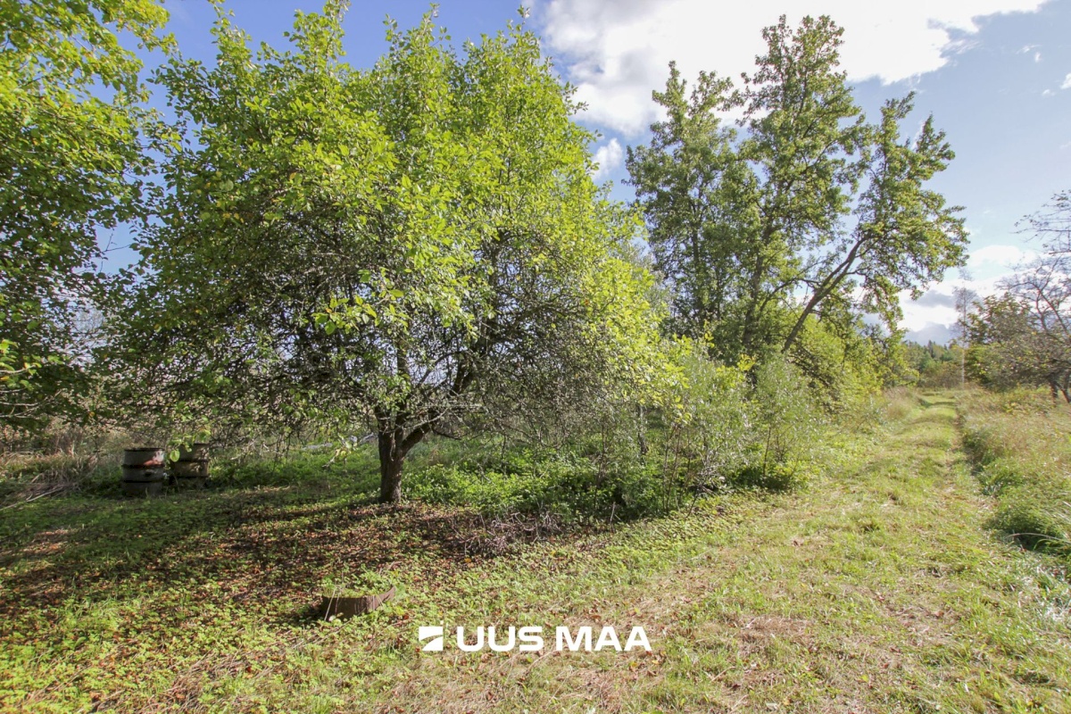 Tori vald, Tabria küla, Kogeri