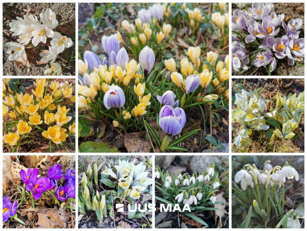 Anija vald, Soodla küla, Vakekaasiku