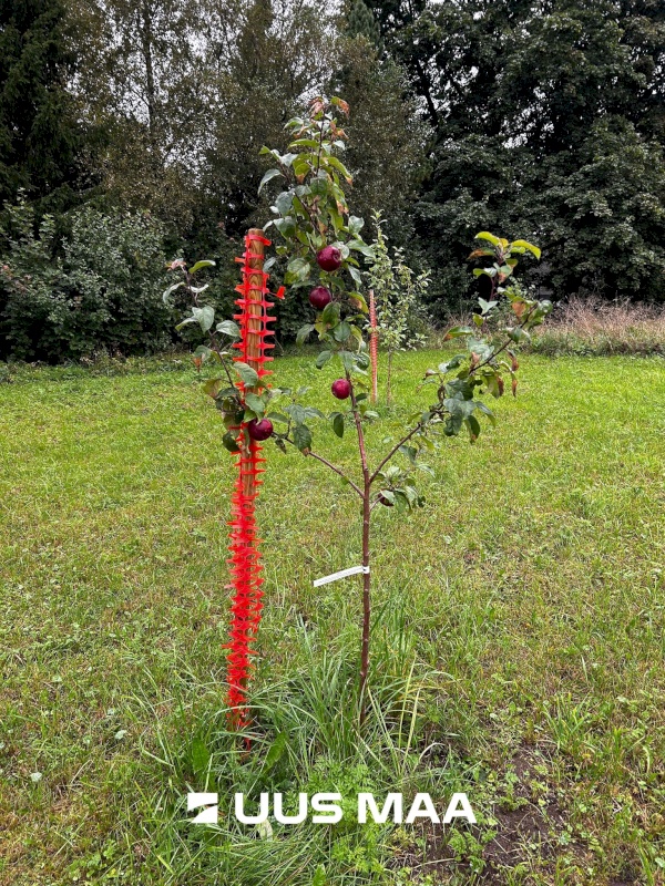 Anija vald, Soodla küla, Vakekaasiku