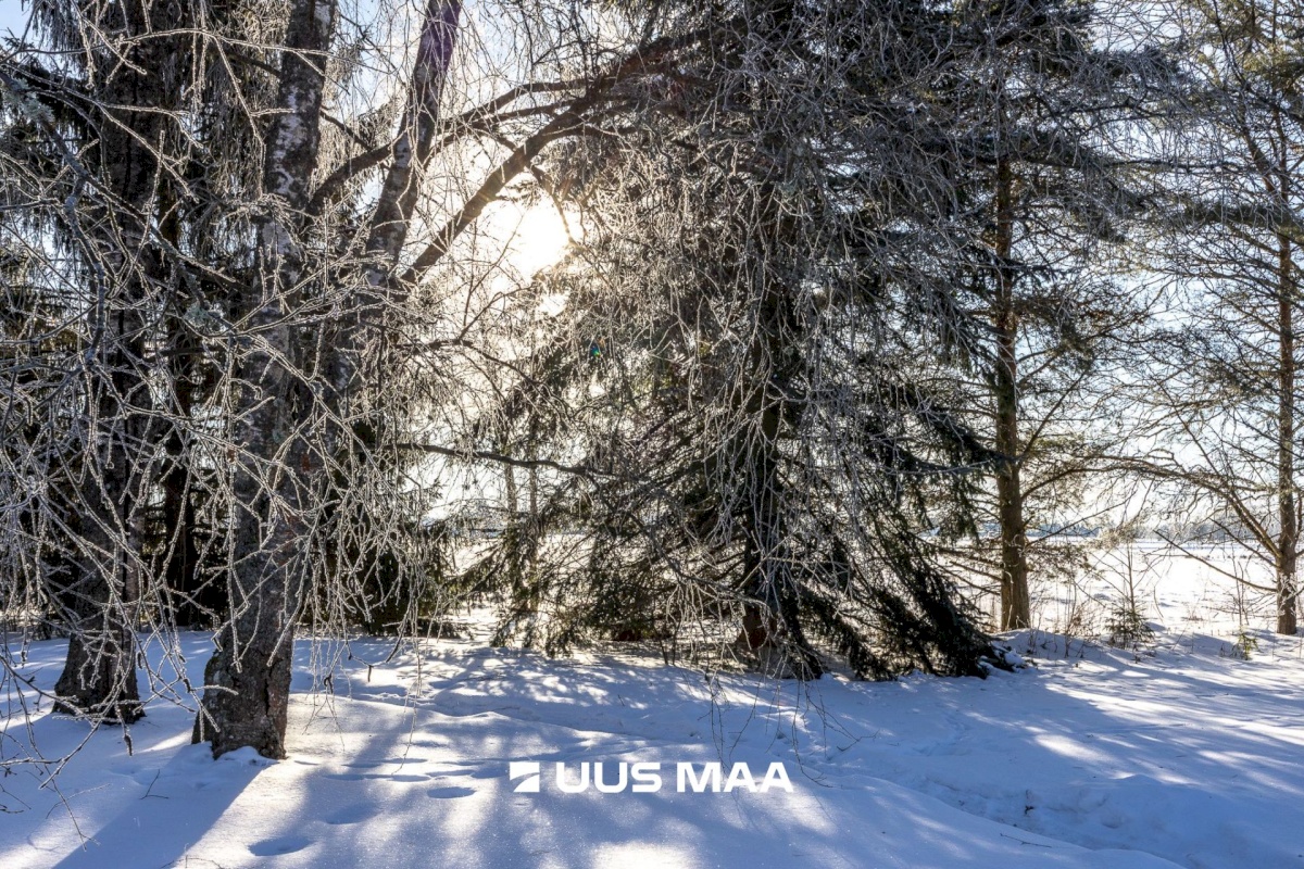 Anija vald, Soodla küla, Vakekaasiku