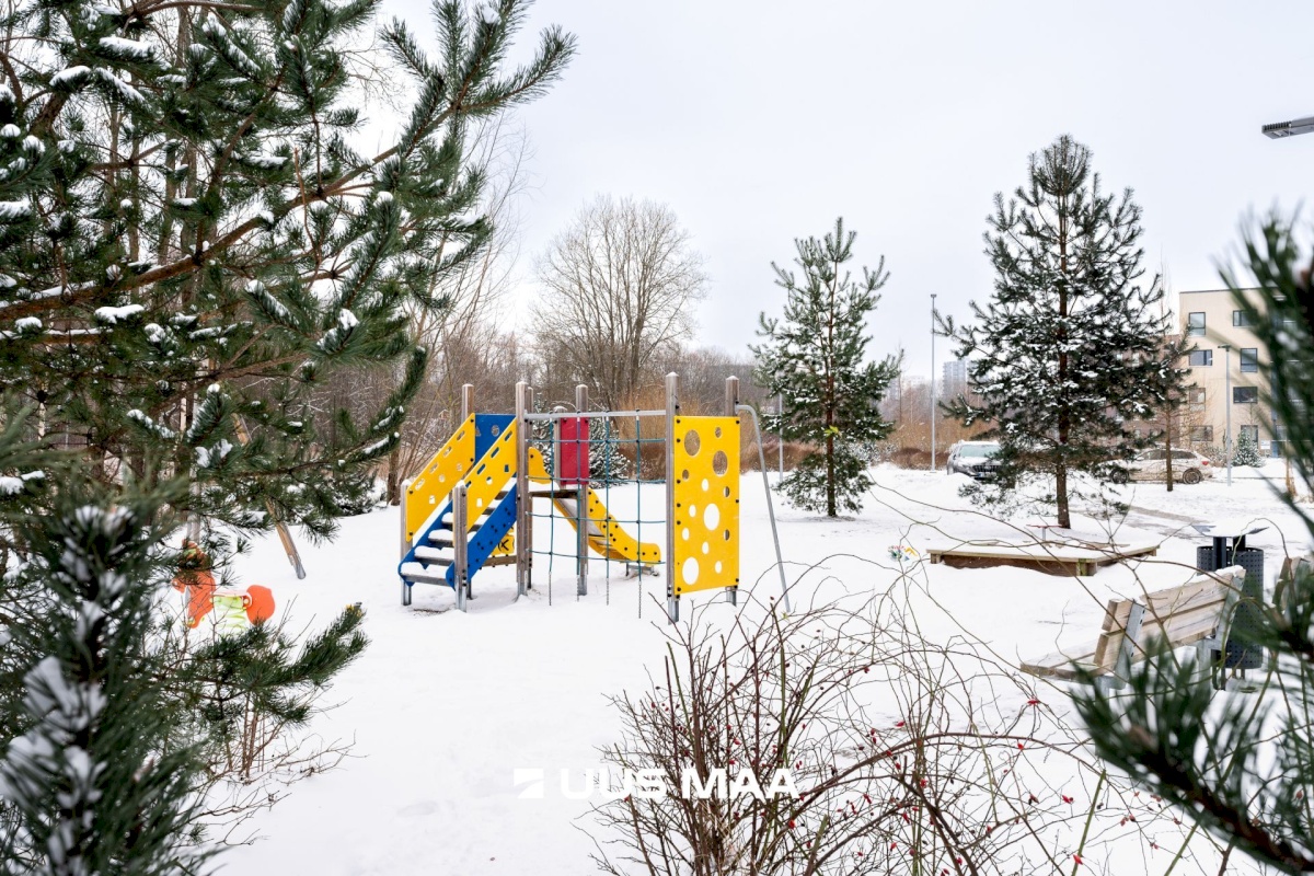 Tallinn, Haabersti linnaosa, Pikaliiva 22