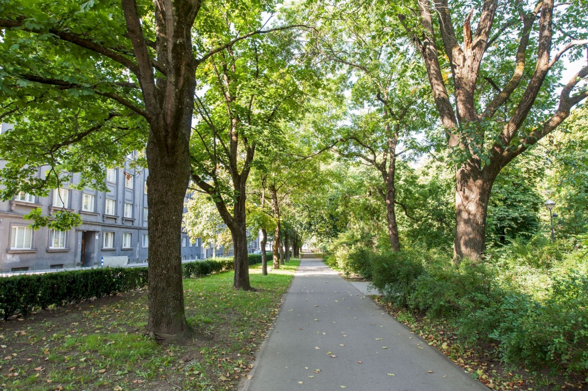 Tallinn, Kesklinna linnaosa, Torupilli, J. Kunderi tn 8