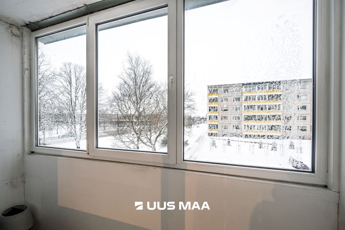 Tallinn, Lasnamäe linnaosa, Punane 65